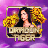 Dragon Tiger phbingo apk live casino